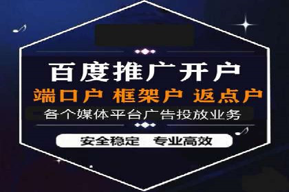 专业竞价SEM托管成功案例解析